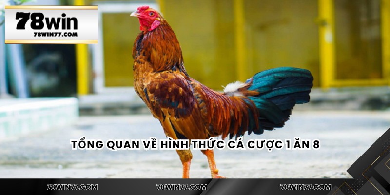 Tổng quan về hình thức cá cược 1 ăn 8